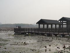 -天津东丽湖风景区