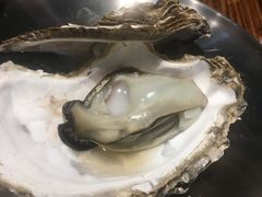 高压竹笼蒸蚝-蚝堡海鲜·威海菜·海肠捞饭·烧烤·亚洲吃蚝公司(幸福门店)