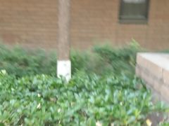 -雅世·合金公寓