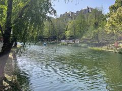 -新江湾城公园