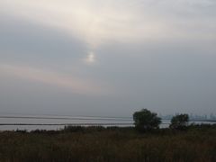 -合肥滨湖国家森林公园