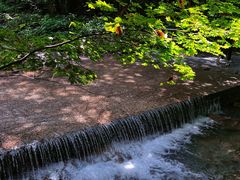 -本溪汤沟绿石谷森林公园
