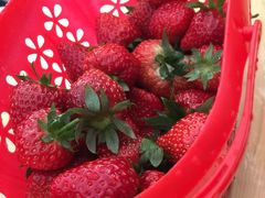 -温江公平红烧兔(总店)