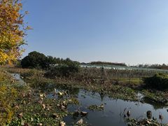 -阳澄湖半岛旅游度假区