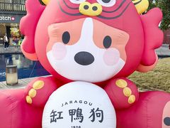 -缸鸭狗(天一广场店)