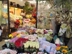 -武汉花鸟市场