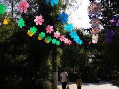 -合肥滨湖国家森林公园