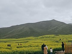 -扁都口生态休闲旅游区