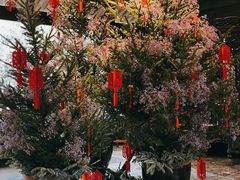 -解香楼(八盘岭路店)