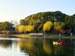 -新江湾城公园