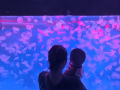 -多彩贵州城极地海洋世界