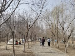 -西青郊野公园
