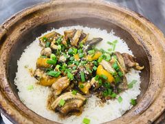 -红星光发煲仔饭(大石街店)