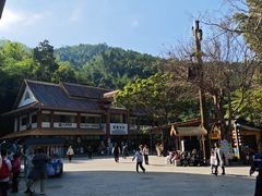 -西双版纳原始森林公园