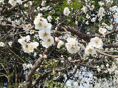 -镇江市南山风景名胜区竹林景区