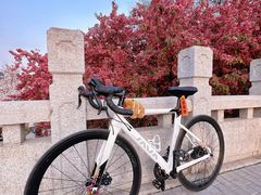 -元大都城垣遗址公园