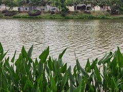 -枫香湖儿童公园