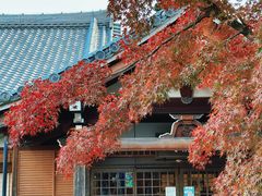-天龙寺