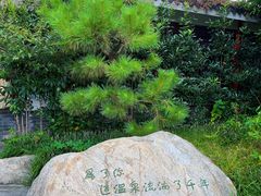 -观唐（国际）度假村温泉