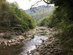 -黎坪国家森林公园