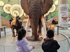 -陕西自然博物馆