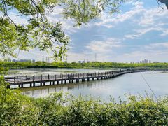 -天津东丽湖风景区