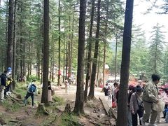 -芦芽山旅游度假区