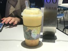 -野萃山·潮汕厚果汁(十亩地店)
