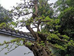 -成都杜甫草堂博物馆