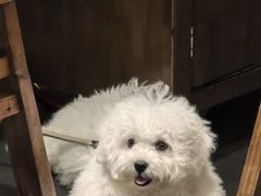 -卤校长老火锅(沙坪坝直营店)