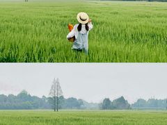 -中国天府农业博览园