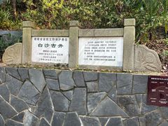 -白沙古井
