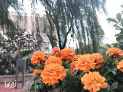 -环球188广场