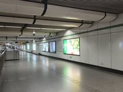 -金科路(地铁站)