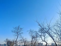 -北山公园