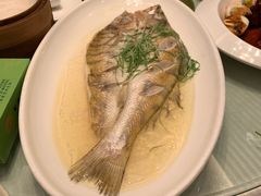 -同济大酒店(绿宝广场店)