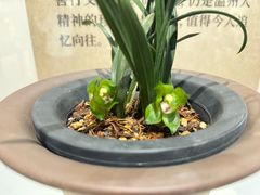-墨池公园