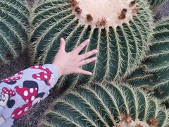 -北京植物园-展览温室