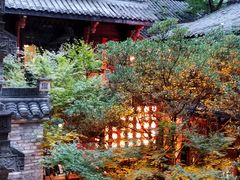 -鱼桥巷·美学川菜