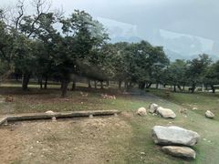 -西安秦岭野生动物园