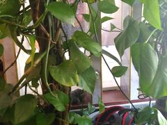-灵福缘私房菜·农家菜(拈花湾·灵山大佛必推店)