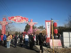 -北京凤凰岭