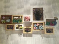 iphone_upload_pic-馬蘭花開(车站大道店)