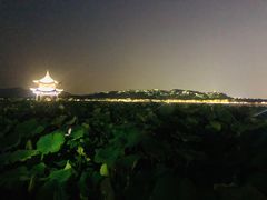 -西湖游船