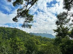 -深圳仙湖植物园