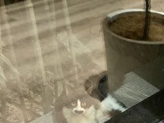 -一叶觅山(半边街店)