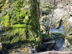 -罗田天堂寨风景区