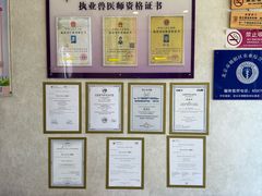 -宠爱国际动物医院·疑难骨科·心肾内科·皮肤科(太阳宫店)