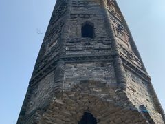 -上海佘山国家森林公园天马山园