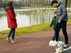 -艾溪湖湿地公园